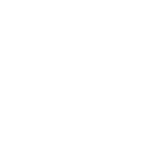 _003 copia